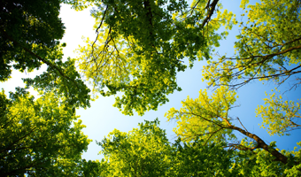 Sustainability