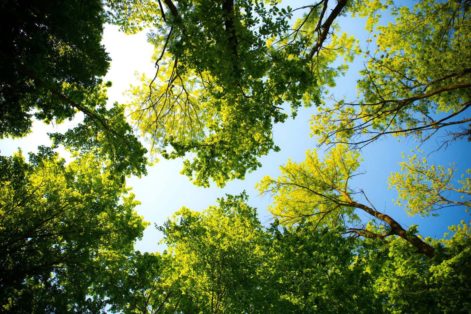 Sustainability